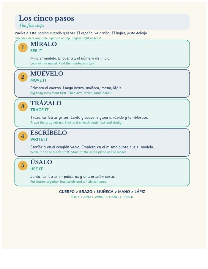 A page from the Spanish-first kids workbook: the five steps